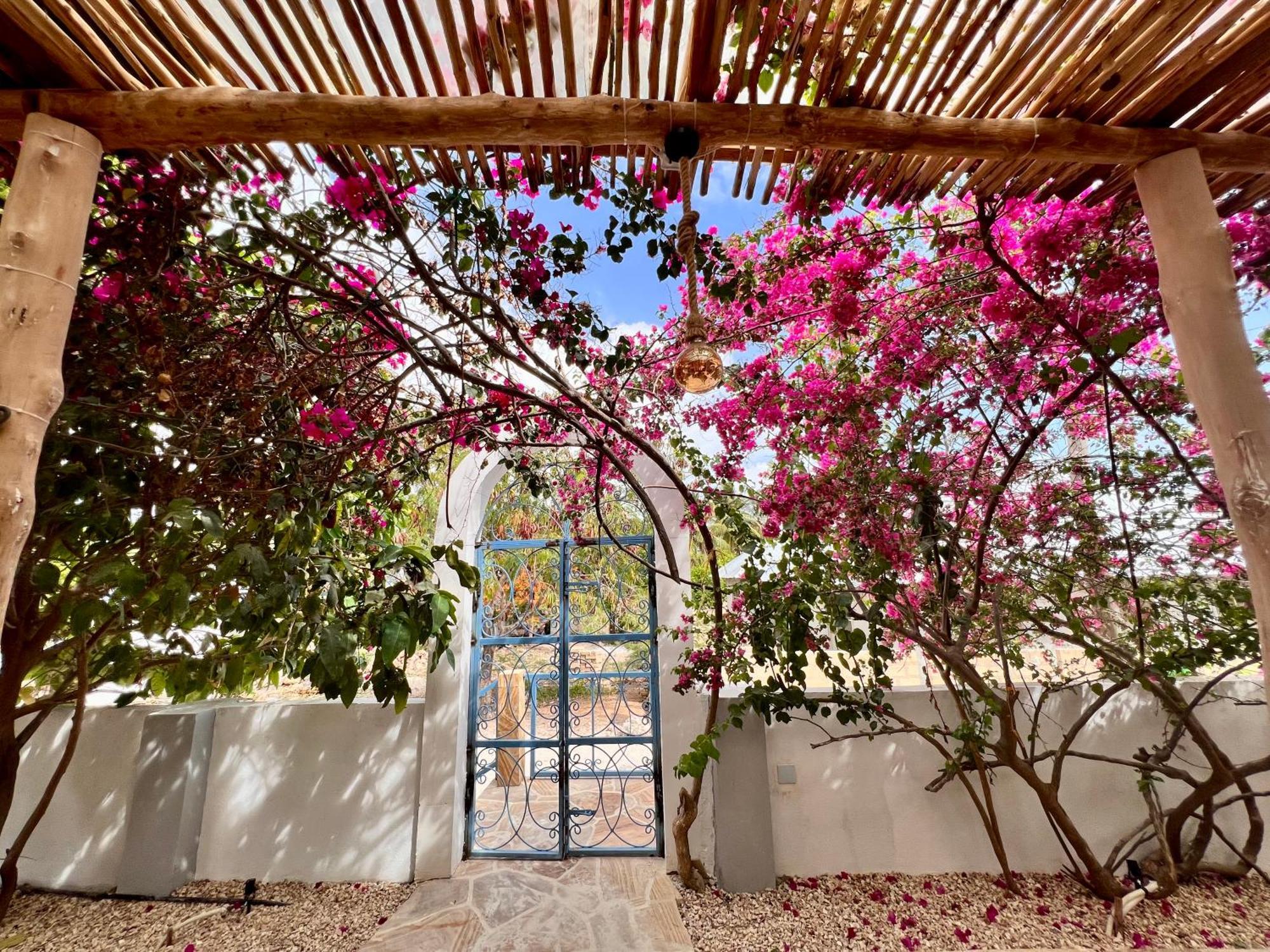 Barabara House Bed and Breakfast Jambiani  Buitenkant foto